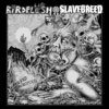 BIRDFLESH | SLAVEBREED Split 7"